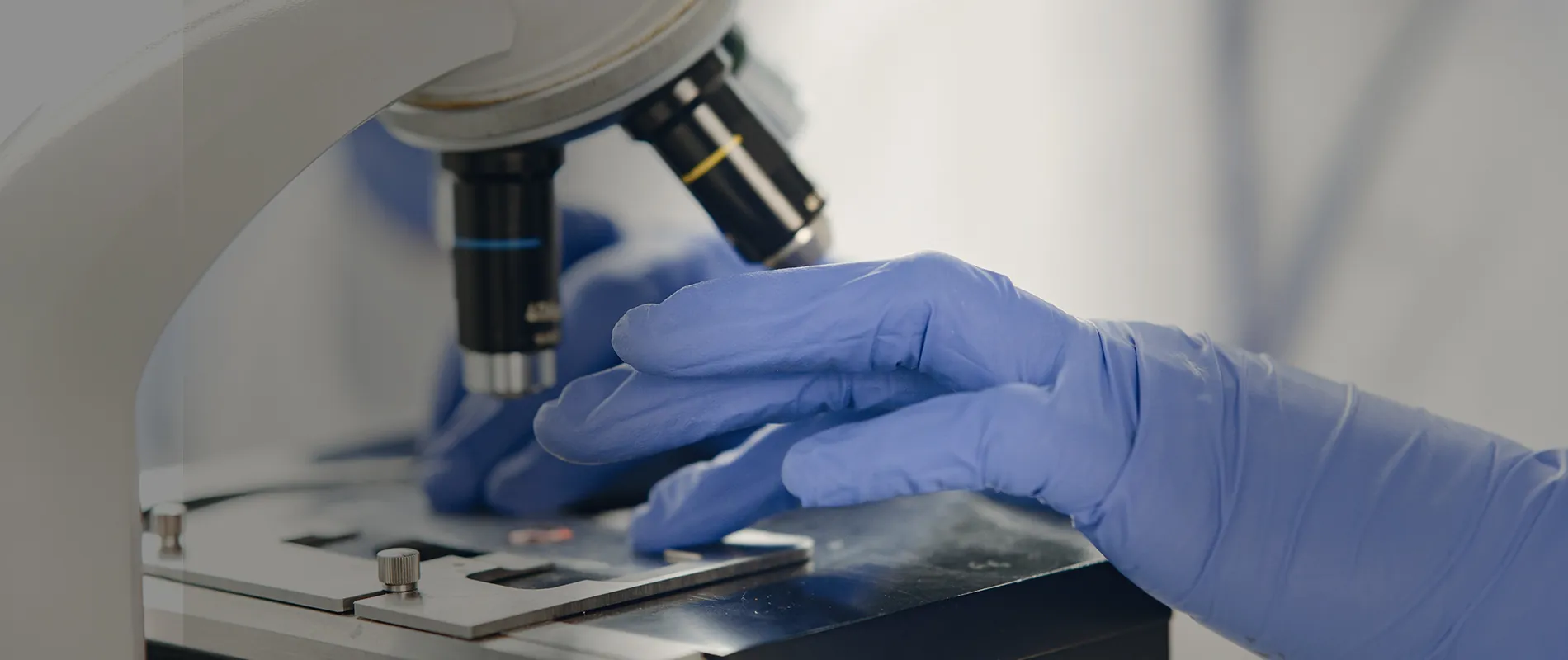 School of Paramedical